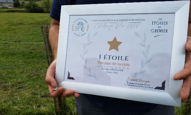 Diplome d'un lauréat du concours Les Etoiles du crémier