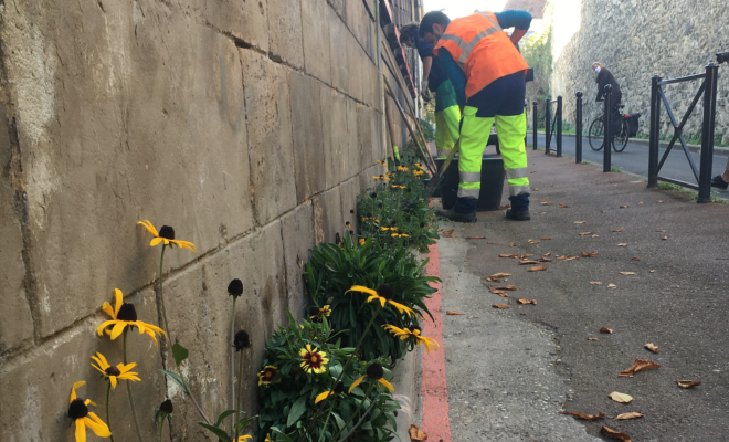 Agents communaux plantant des fleurs rue de la Miséricorde 